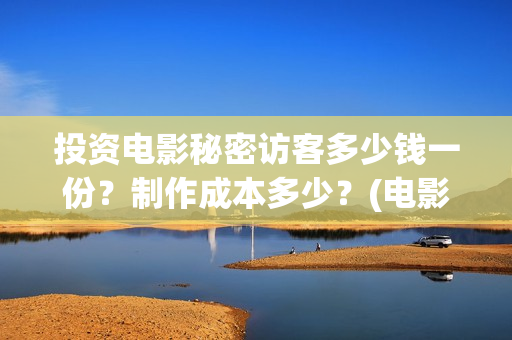 投资电影秘密访客多少钱一份？制作成本多少？(电影秘密简介)