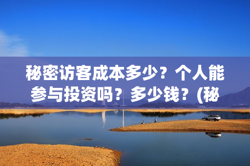 秘密访客成本多少?个人能参与投资吗?多少钱?(秘密访客总投资多少) 秘密访客成本多少?个人能参与投资吗?多少钱?(秘密访客总投资多少)