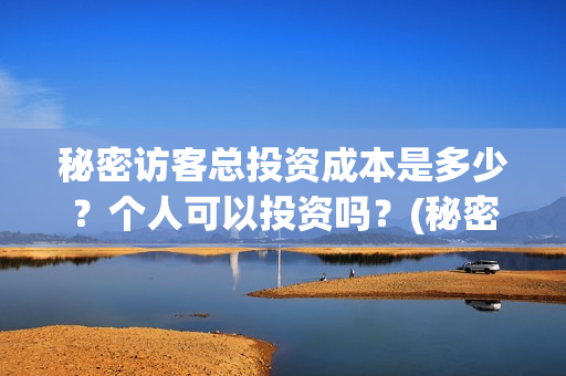 秘密访客总投资成本是多少？个人可以投资吗？(秘密访客总投资多少钱)