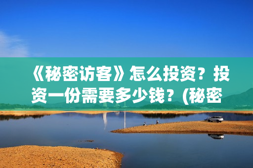 《秘密访客》怎么投资？投资一份需要多少钱？(秘密访客在讲啥)