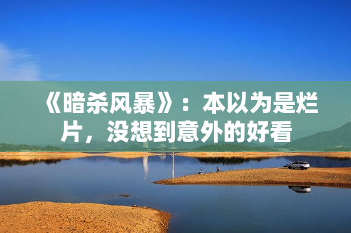 《暗杀风暴》：本以为是烂片，没想到意外的好看