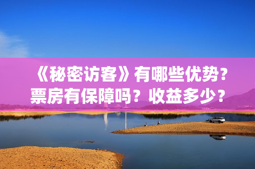 《秘密访客》有哪些优势？票房有保障吗？收益多少？(秘密访客演的到底是啥)