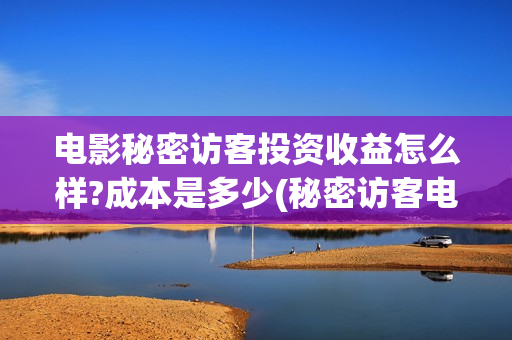 电影秘密访客投资收益怎么样?成本是多少(秘密访客电影投资效果价目表)