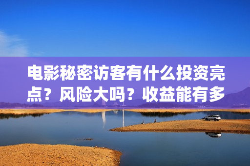 电影秘密访客有什么投资亮点？风险大吗？收益能有多少？(电影秘密访客是恐怖片吗)