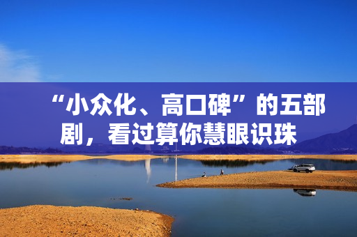 “小众化、高口碑”的五部剧，看过算你慧眼识珠