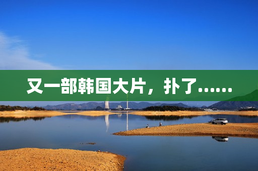 又一部韩国大片，扑了……