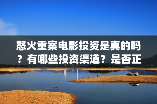 怒火重案电影投资是真的吗？有哪些投资渠道？是否正规？(怒火重案电影版)