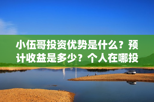 小伍哥投资优势是什么？预计收益是多少？个人在哪投资？(《小伍哥》)
