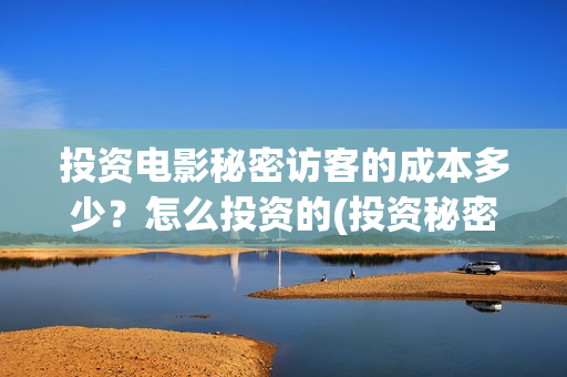 投资电影秘密访客的成本多少？怎么投资的(投资秘密访客)