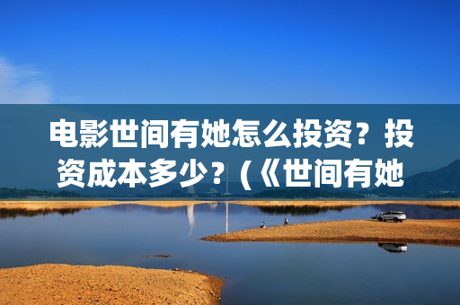 电影世间有她怎么投资？投资成本多少？(《世间有她》)