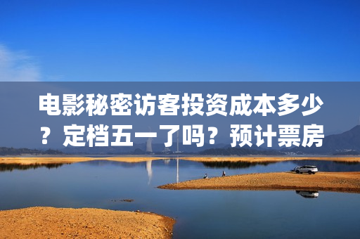 电影秘密访客投资成本多少？定档五一了吗？预计票房(秘密访客电影啥意思)