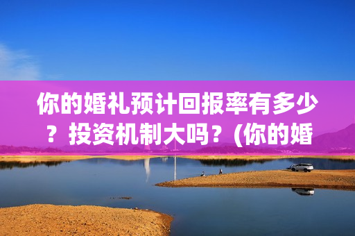 你的婚礼预计回报率有多少？投资机制大吗？(你的婚礼预告bgm)