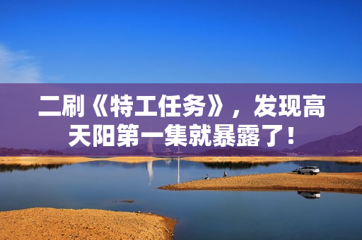 二刷《特工任务》，发现高天阳第一集就暴露了！