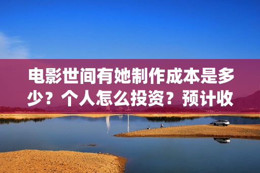电影世间有她制作成本是多少？个人怎么投资？预计收益是多少？(《世间有她》)