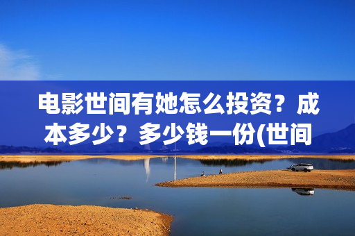 电影世间有她怎么投资？成本多少？多少钱一份(世间有她电影现在什么情况)