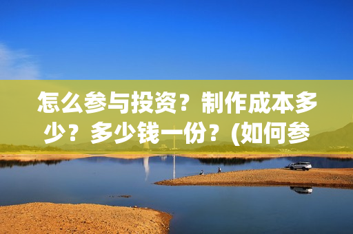 怎么参与投资？制作成本多少？多少钱一份？(如何参与投资公司的投资)