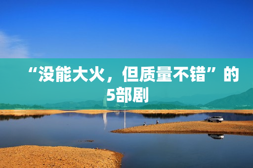“没能大火，但质量不错”的5部剧