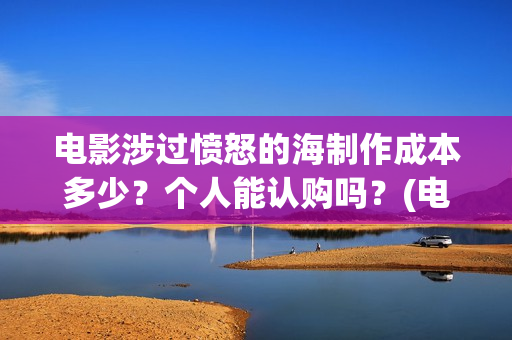 电影涉过愤怒的海制作成本多少？个人能认购吗？(电影涉过愤怒的海定档)