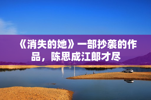 《消失的她》一部抄袭的作品，陈思成江郎才尽