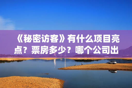 《秘密访客》有什么项目亮点？票房多少？哪个公司出品的？(秘密访客再讲什么)