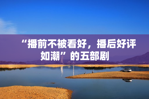 “播前不被看好，播后好评如潮”的五部剧