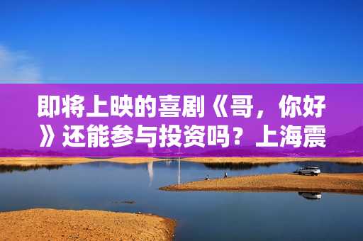即将上映的喜剧《哥，你好》还能参与投资吗？上海震杰的份额真实吗？