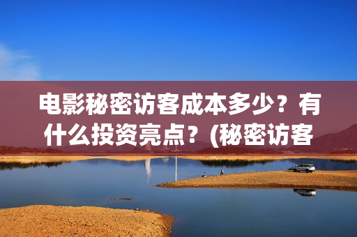 电影秘密访客成本多少？有什么投资亮点？(秘密访客电影啥意思)