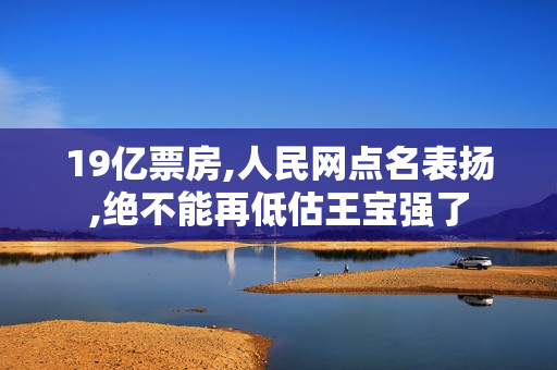 19亿票房,人民网点名表扬,绝不能再低估王宝强了