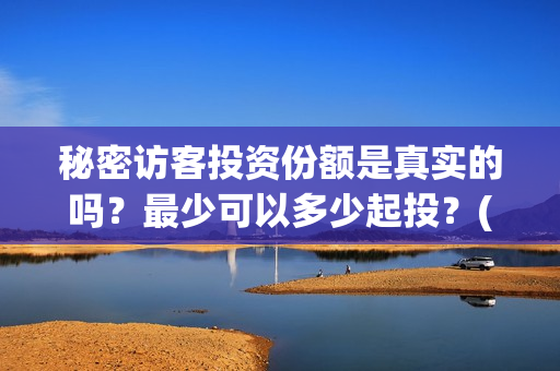 秘密访客投资份额是真实的吗？最少可以多少起投？(秘密访客投资成本)