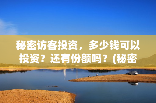 秘密访客投资，多少钱可以投资？还有份额吗？(秘密访客投资方有哪些)