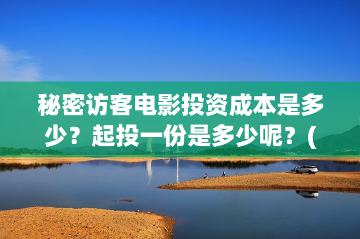 秘密访客电影投资成本是多少？起投一份是多少呢？(秘密访客电影预告)