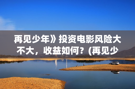 再见少年》投资电影风险大不大，收益如何？(再见少年个人投资真实吗)