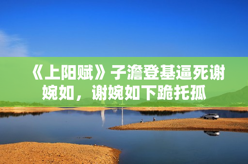 《上阳赋》子澹登基逼死谢婉如，谢婉如下跪托孤