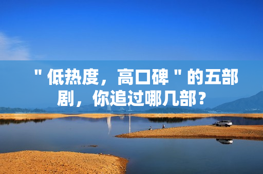 ＂低热度，高口碑＂的五部剧，你追过哪几部？