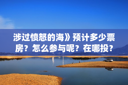 涉过愤怒的海》预计多少票房？怎么参与呢？在哪投？(涉过愤怒的海事件原型)