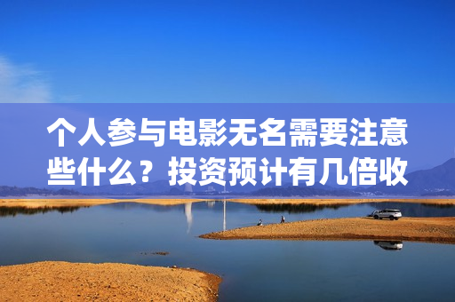 个人参与电影无名需要注意些什么？投资预计有几倍收益？(个人电影投资是真的吗)