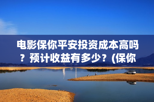 电影保你平安投资成本高吗？预计收益有多少？(保你平安歌词)