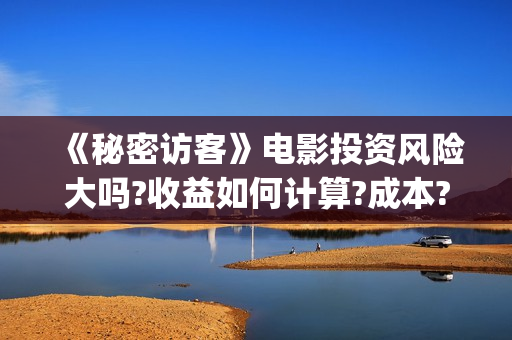 《秘密访客》电影投资风险大吗?收益如何计算?成本?(电影《秘密访客》)