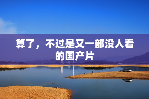 算了，不过是又一部没人看的国产片