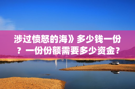 涉过愤怒的海》多少钱一份？一份份额需要多少资金？(涉过愤怒的海电影免费观看完整普通话)