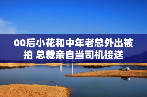 00后小花和中年老总外出被拍 总裁亲自当司机接送