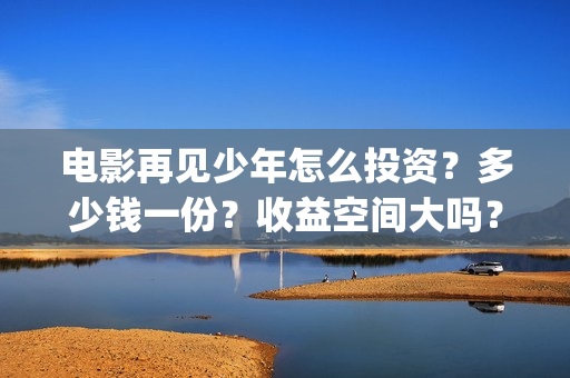 电影再见少年怎么投资？多少钱一份？收益空间大吗？(再见少年电影啥意思)