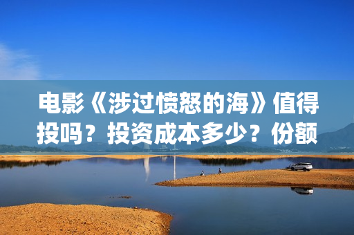 电影《涉过愤怒的海》值得投吗？投资成本多少？份额是真实的吗？(涉过愤怒的海小说在线阅读)