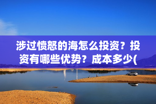 涉过愤怒的海怎么投资？投资有哪些优势？成本多少(涉过愤怒的海凶手是谁)