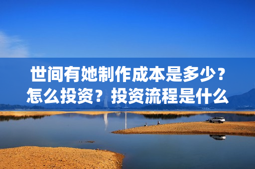 世间有她制作成本是多少？怎么投资？投资流程是什么？(世间有她什么题材)