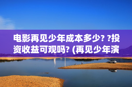 电影再见少年成本多少? ?投资收益可观吗? (再见少年演的啥)
