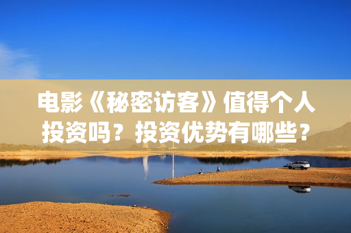 电影《秘密访客》值得个人投资吗？投资优势有哪些？投资收益多少？(秘密访客完整剧情)