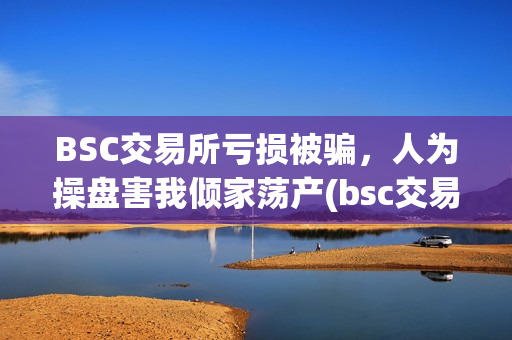 BSC交易所亏损被骗，人为操盘害我倾家荡产(bsc交易平台)
