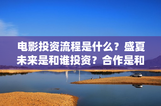 电影投资流程是什么？盛夏未来是和谁投资？合作是和出品方吗？(电影投资是怎么投资的)