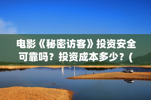 电影《秘密访客》投资安全可靠吗？投资成本多少？(电影《秘密访客》)